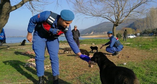 (Özel) Bursa'da Mehmetçik'ten örnek davranış