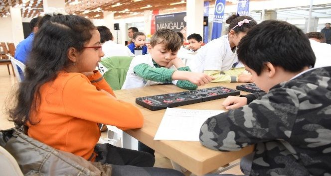 Akıl ve Zeka Oyunları Türkiye Şampiyonası Bursa'da yapılacak