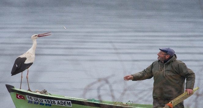 (Özel) Filmi çekiliyordu...Baharın müjdecisi ilk o geldi