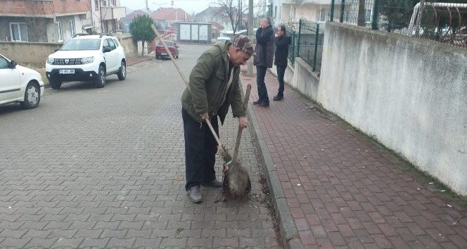 Her gün oturduğu caddeyi temizliyor