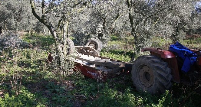 Hayata 29 gün tutunabildi