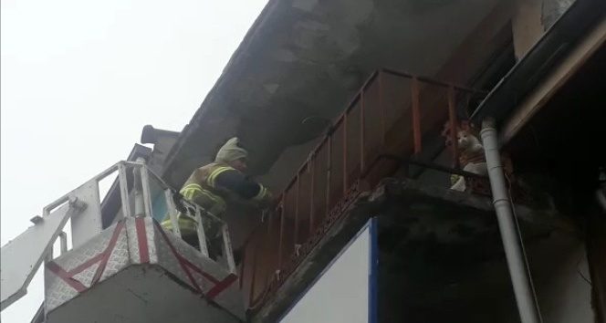 Balkonda mahsur kalan kediyi itfaiye kurtardı